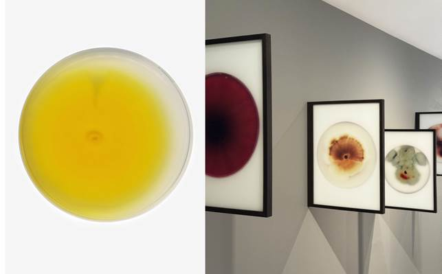 Une image contenant peinture, art

Le contenu gnr par lIA peut tre incorrect.